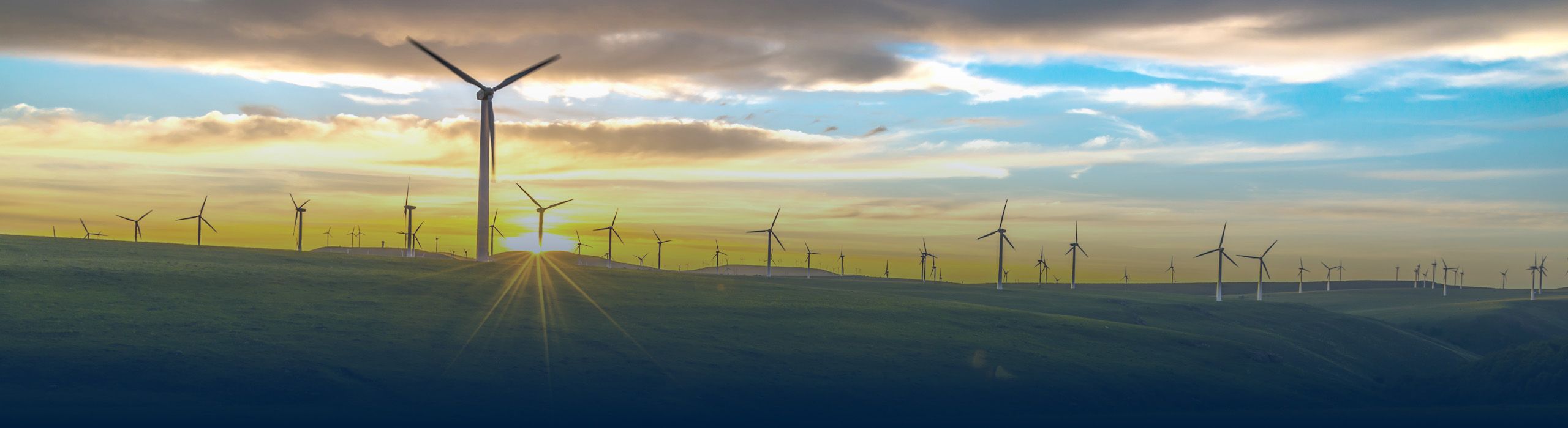 Sustainable management in the CODESYS Group: What we do to make sure that our planet can remain a home for our children and grandchildren.
